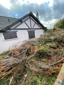 Photo de galerie - évacuation du déchets verts au meilleur prix 