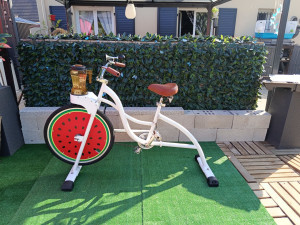 Photo de galerie - LOCATION VELO SMOOTHIE POUR VOS FETES 