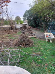 Photo de galerie - Tonte de pelouse - Débroussaillage