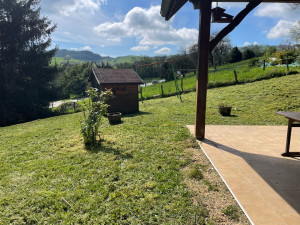 Photo de galerie - Tonte de pelouse - Débroussaillage