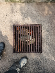 Photo de galerie - Terrassement - Assainissement