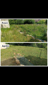 Photo de galerie - Débroussaillage 