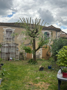 Photo de galerie - Élagage d’un arbre