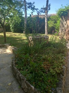 Photo de galerie - Garde chien