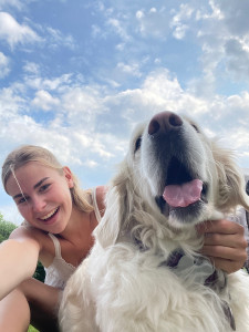 Photo de galerie - Garde de Golden Retriever 