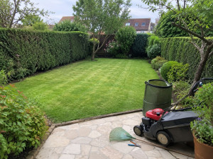 Photo de galerie - Jardinage, Tonte, taillage