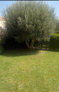 Photo de galerie - Avant 