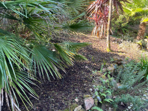 Photo de galerie - Désherbage 