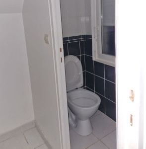 Photo de galerie - Pose Faïence toilettes