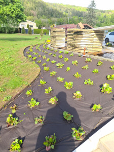 Photo de galerie - Couvre-sol