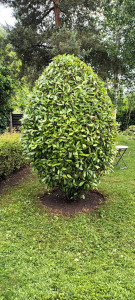 Photo de galerie - Paysagiste - Aménagement du jardin