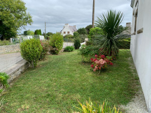 Photo de galerie - Tonte de pelouses