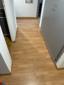 Photo de galerie - Enlèvement de l'ancien sol, plus pose d'un couloir en lames PVC