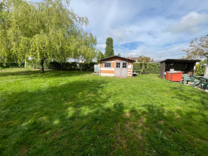 Photo de galerie - Taille de laurier 