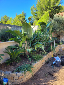 Photo de galerie - Aménagement muret en pierre avec plantations de plantes méditerranéenes 