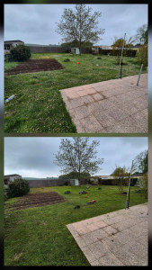 Photo de galerie - Tonte de pelouse - Débroussaillage