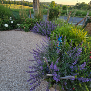 Photo de galerie - Désherbage et petites plantations de vivaces