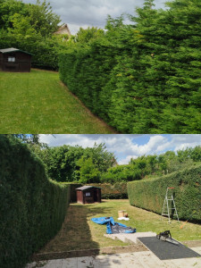 Photo de galerie - Hauteur réduite et toutes les faces taillée 