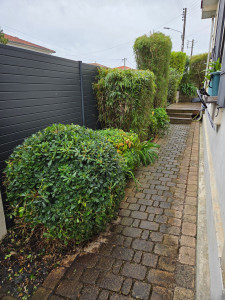 Photo de galerie - Paysagiste - Aménagement du jardin