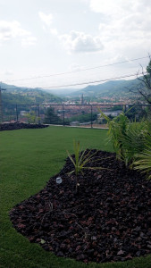 Photo de galerie - Gazon synthétique et massifs 