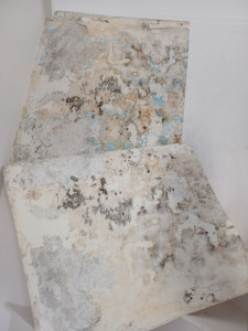 Photo de galerie - Détapisser toile de verre .. préparation des murs enduit sous couche impression et peinture 