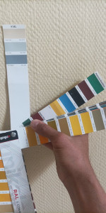 Photo de galerie - Votre choix 