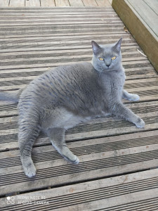 Photo de galerie - Août 2025