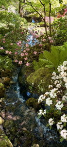 Photo de galerie - Paysagiste - Aménagement du jardin