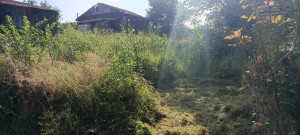 Photo de galerie - Nettoyage de terrain.