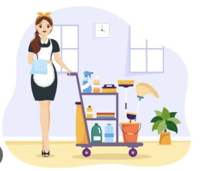 Photo de galerie - ,Je suis une femme de ménage sérieuse, discrète et organisée, avec de l’expérience dans l’entretien complet du domicile. Je m’occupe du nettoyage, repassage, vitres, rangement et autres tâches ménagères avec soin et efficacité. Ponctuelle et de confiance,
