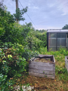 Photo de galerie - Jardinier