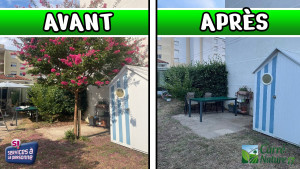 Photo de galerie - Elegage et coupe d'un arbre