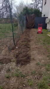 Photo de galerie - Elagage et coupe d'arbres