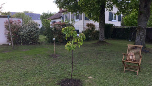 Photo de galerie - Réparation Nettoyage 