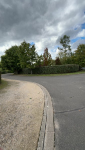 Photo de galerie - Taille de haies (bocagères)