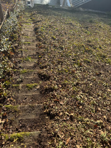 Photo de galerie - REMISE EN ÉTAT D’UN ANCIEN ESCALIER