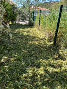 Photo de galerie - Fauchage d’une zone herbacée 