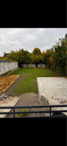 Photo de galerie - Gazon qui pousse 