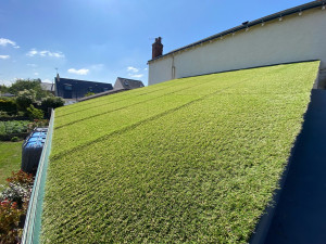 Photo de galerie - Paysagiste - Aménagement du jardin