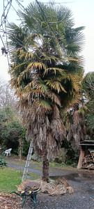 Photo de galerie - Avant et après 