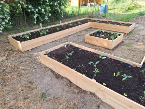 Photo de galerie - _ création de carré potager sur mesure
_ entretien jardin
