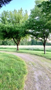 Photo de galerie - Jardinier