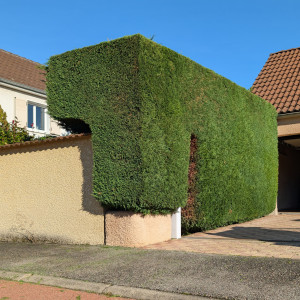 Photo de galerie - Après 