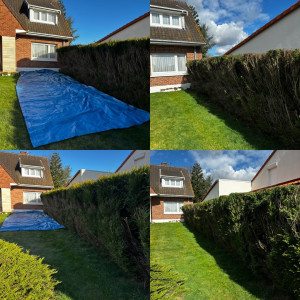 Photo de galerie - Taille de haies et d'arbustes