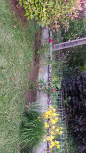 Photo de galerie - Jardinier