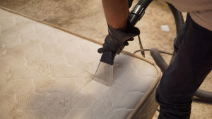 Photo de galerie - Offrez une seconde jeunesse à votre matelas.
DOMOFA élimine les salissures, les acariens et les allergènes incrustés pour retrouver fraîcheur, hygiène et confort de sommeil sans remplacer votre literie.
