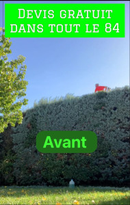 Photo de galerie - Taille de haie