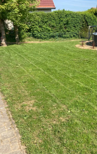 Photo de galerie - Entretien gazon 
