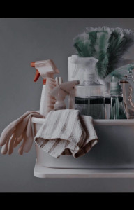 Photo de galerie - Ménage 