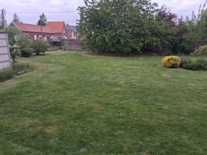 Photo de galerie - Réalisation  parfaite tonte et débroussaillage client content 